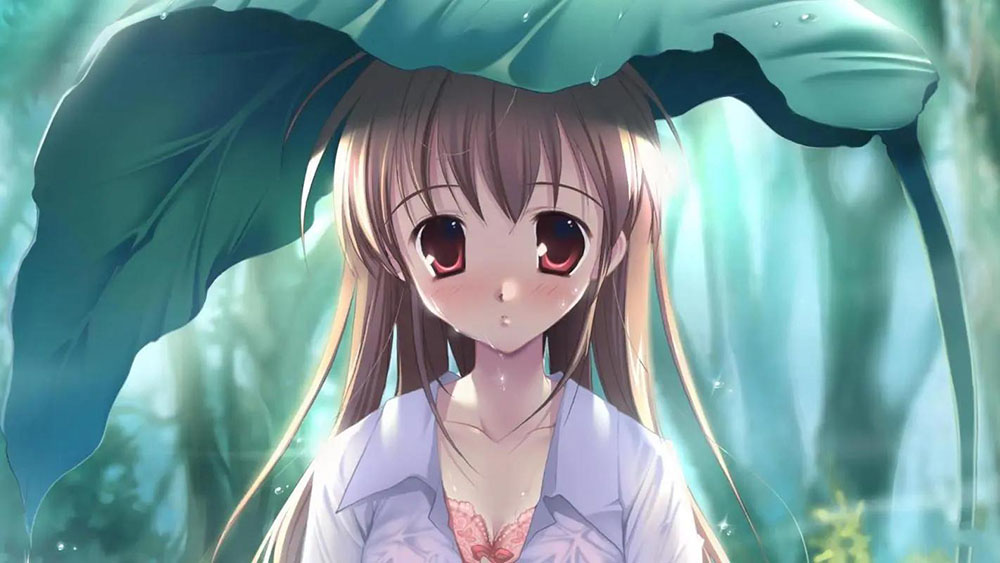 分类-CPS,CPA-echvip